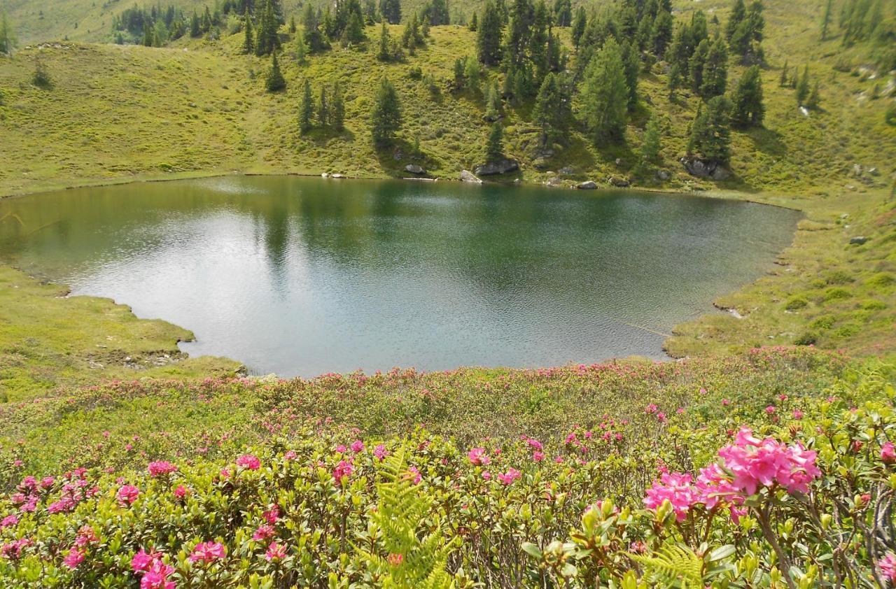 Die Kalsbergerin Ferienwohnung Fuer Geniesser Donnersbachwald Dış mekan fotoğraf